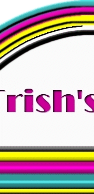Trish's Cyber Diner Logo